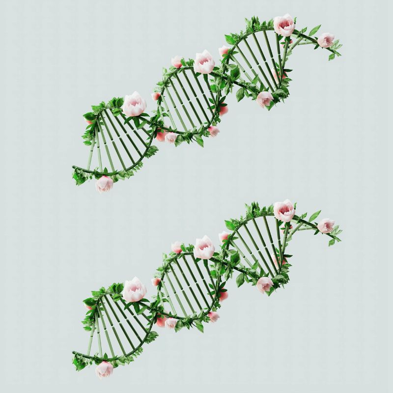 DNA-Strang aus Bambus